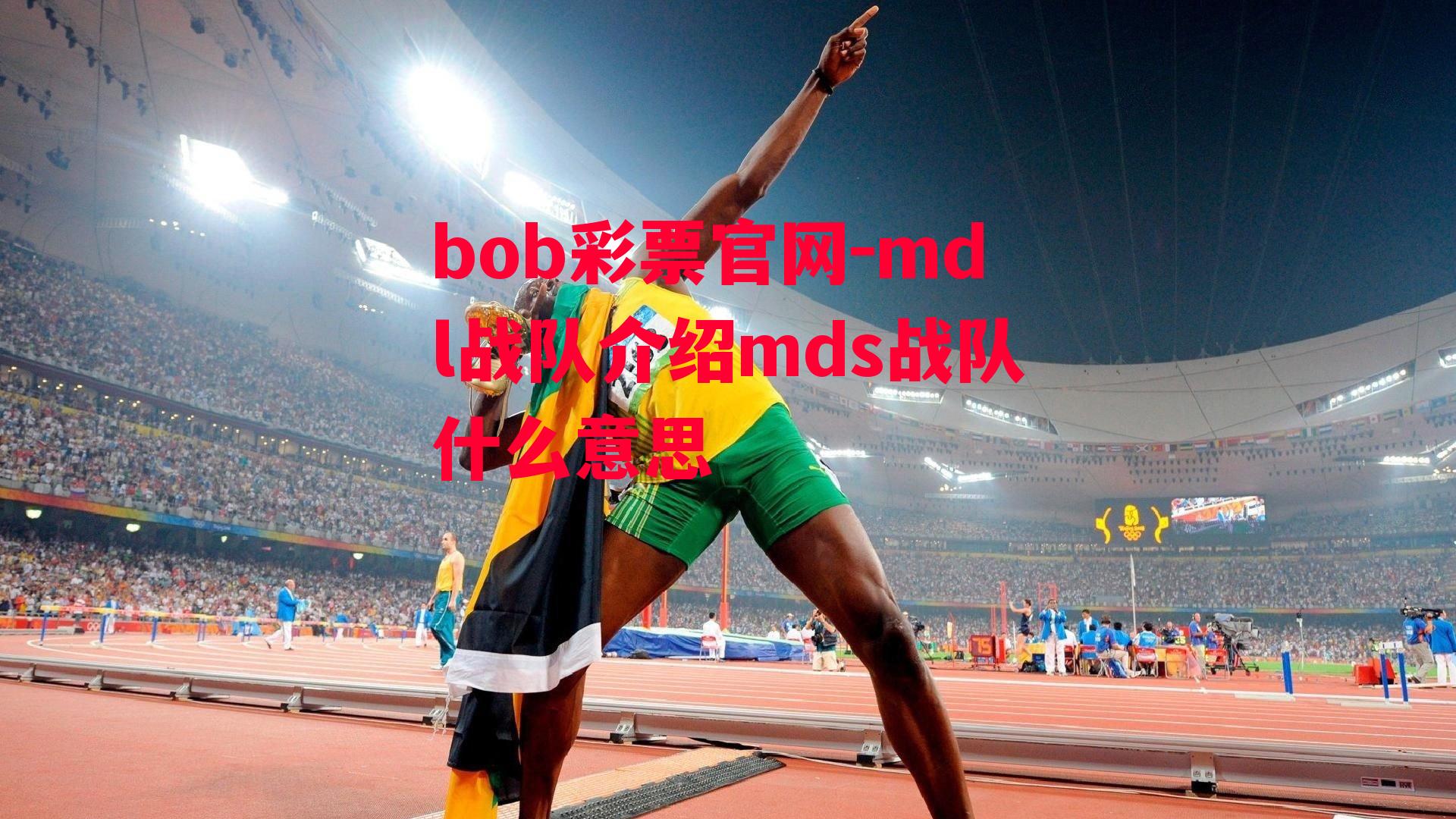 bob彩票官网-mdl战队介绍mds战队什么意思